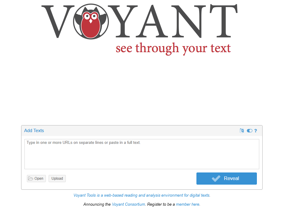Voyant Website Preview