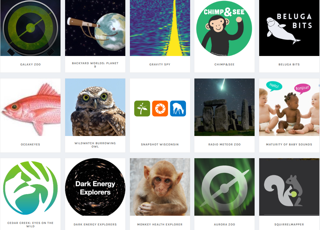 Zooniverse Website Preview